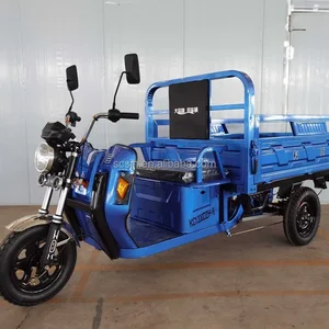 9 Haupttrikeverkäufe mit Motor - №10