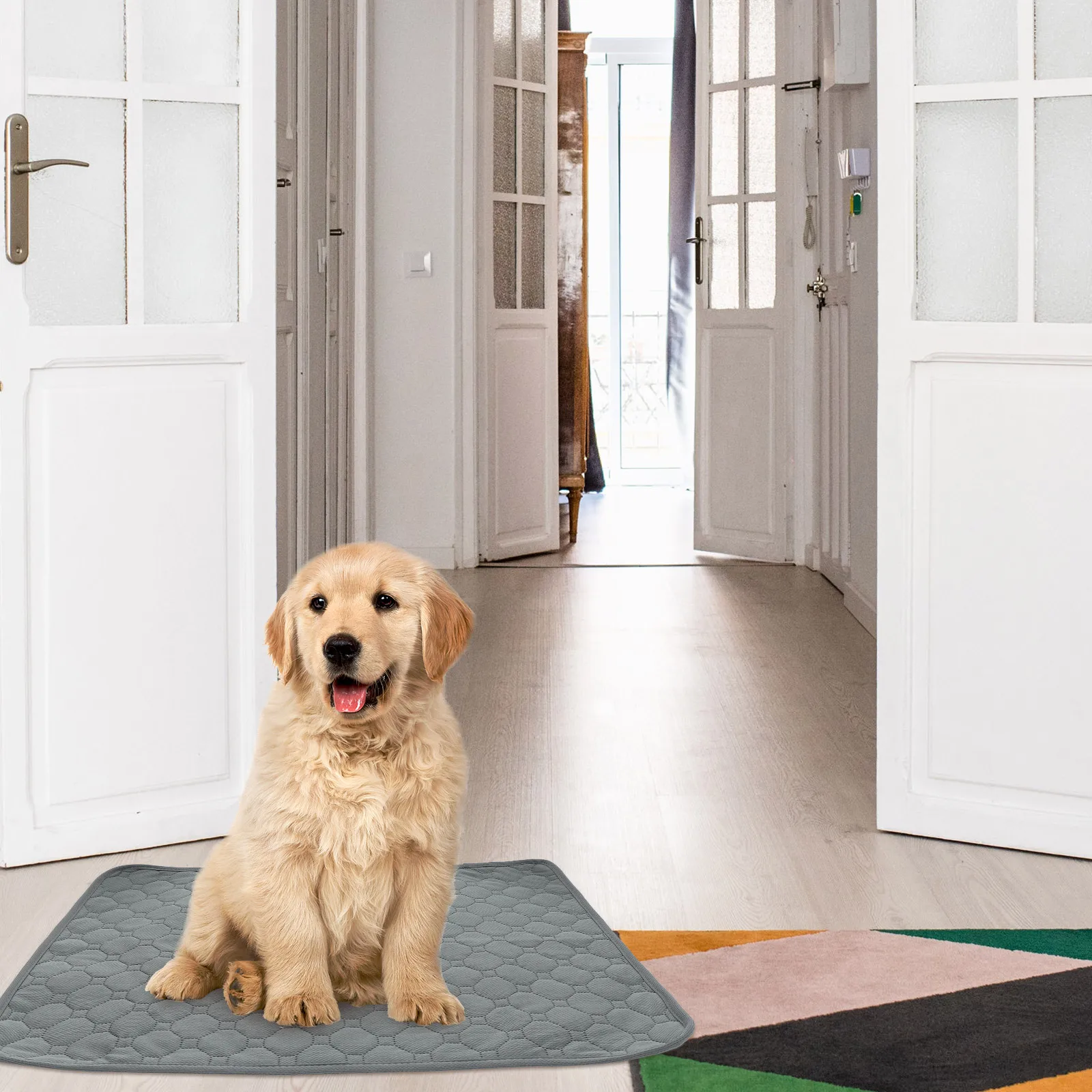 

Dog Pee Pad Reusable Washable Pet Pee Pads for Dogs Cats Small Large Absorbent Odor Control Portable Indoor Use