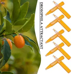 Drosophila Attractant Fruit Fly Trap Killer Drosophila Trap Fly Catcher Control Pest Insect 10Pcs