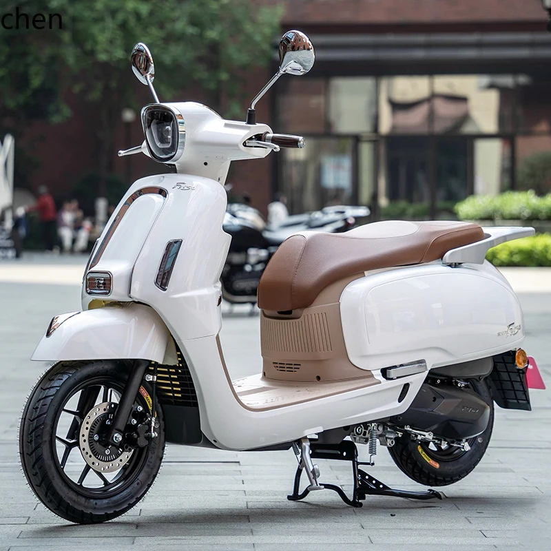 

ZML Retro Artistic Two-Wheel Scooter EFI Home Commuting