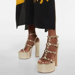 2025European and American Women's New Summer Fashion Thick Sole Sandals Thick High Heel Rivet Sexy Banquet Party Women's Shoes