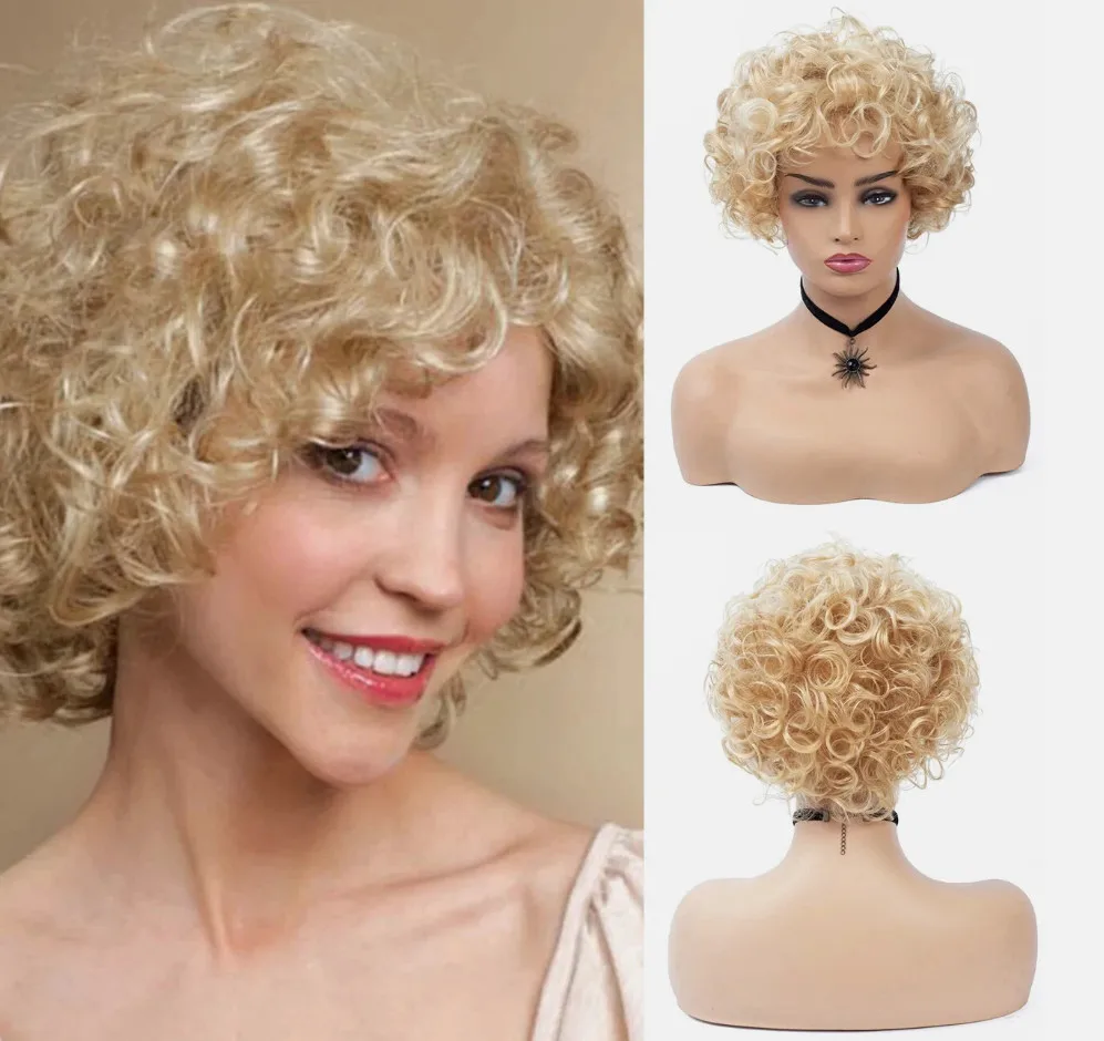 

Short Curly Synthetic Wigs Party Hair Women Mixed Colors High Temperature