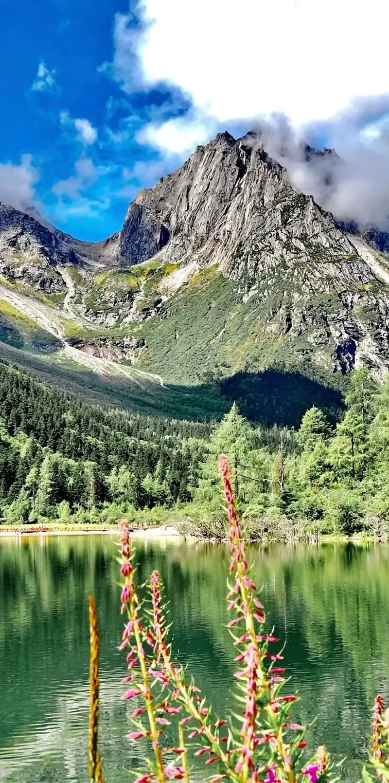 

New Upgrade 3.0 Desktop Nail Dust Collector Nail Salon Professional Use Nail Dust Vacuum Cleaner with Filter