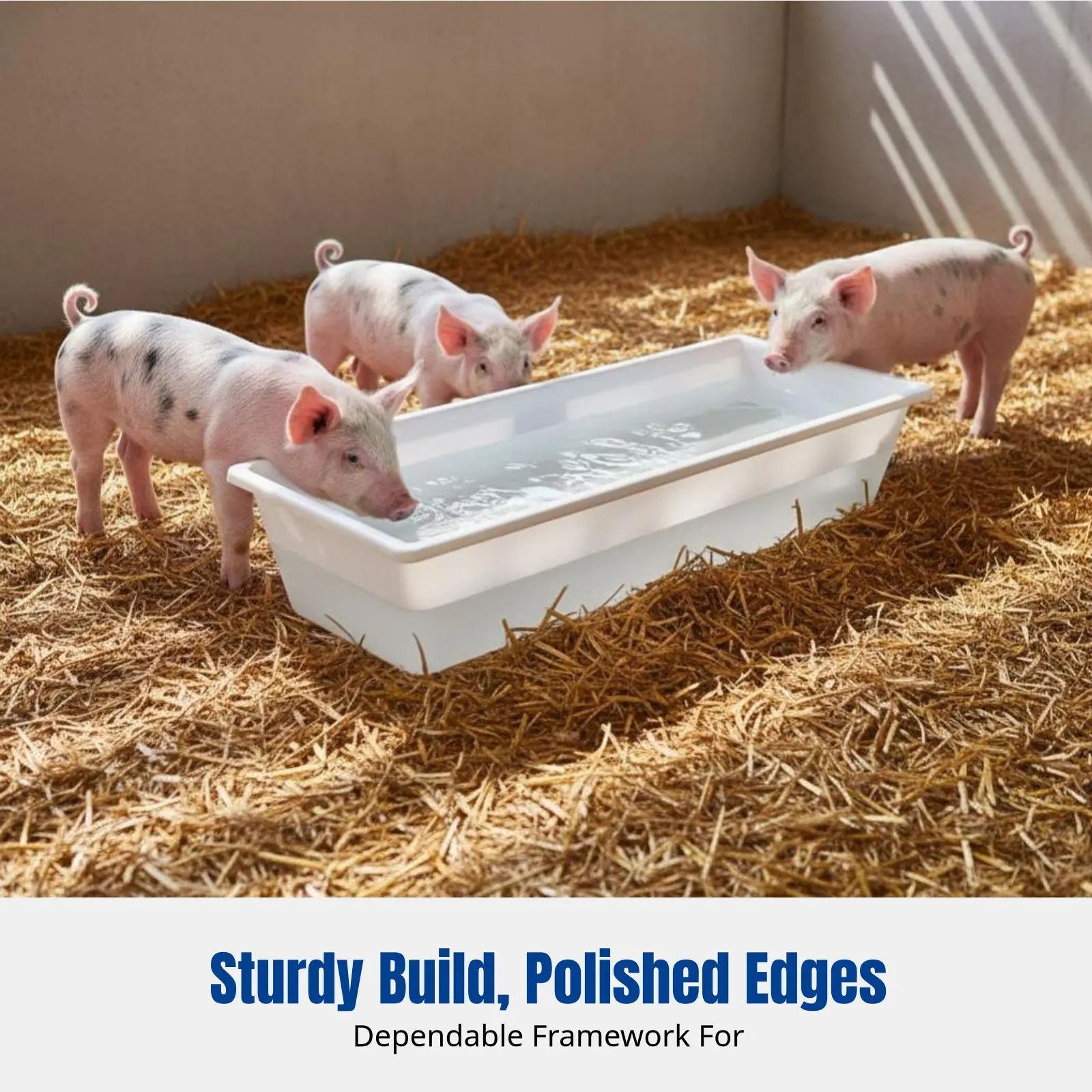 

Thickened Long Rectangular Pig Feeder Trough, Multi-Functional Storage Box, Odorless Flat Bottom Basin for Poultry Farming