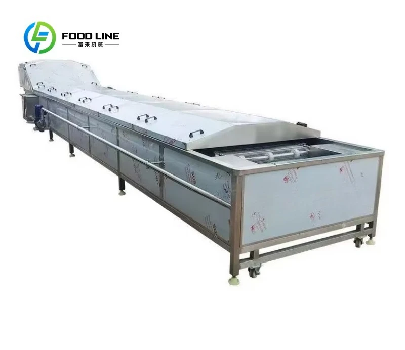 Customized size Frozen fruit and vegetable steam blanching cooling production line
