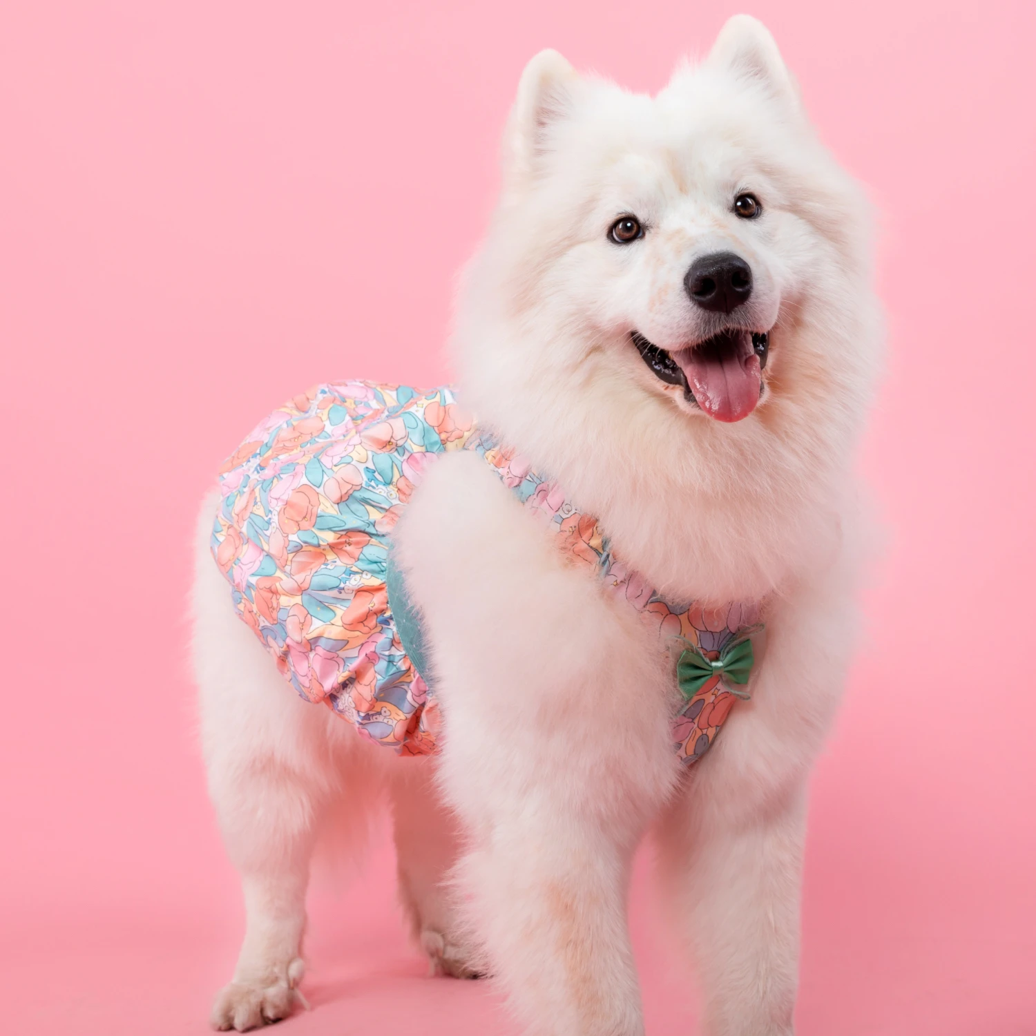 Dog Chest Back Skirt Shirt, Cute Pet Clothes, Cute Sweet Skirt, Suspender Skirt