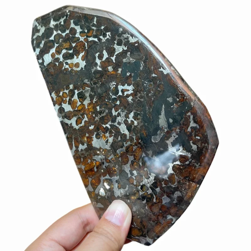Sericho Pallasite Meteorite Irregular Polished Slice Natural Olivine Crystal Cosmic Mineral Specimen Space Rock TA811
