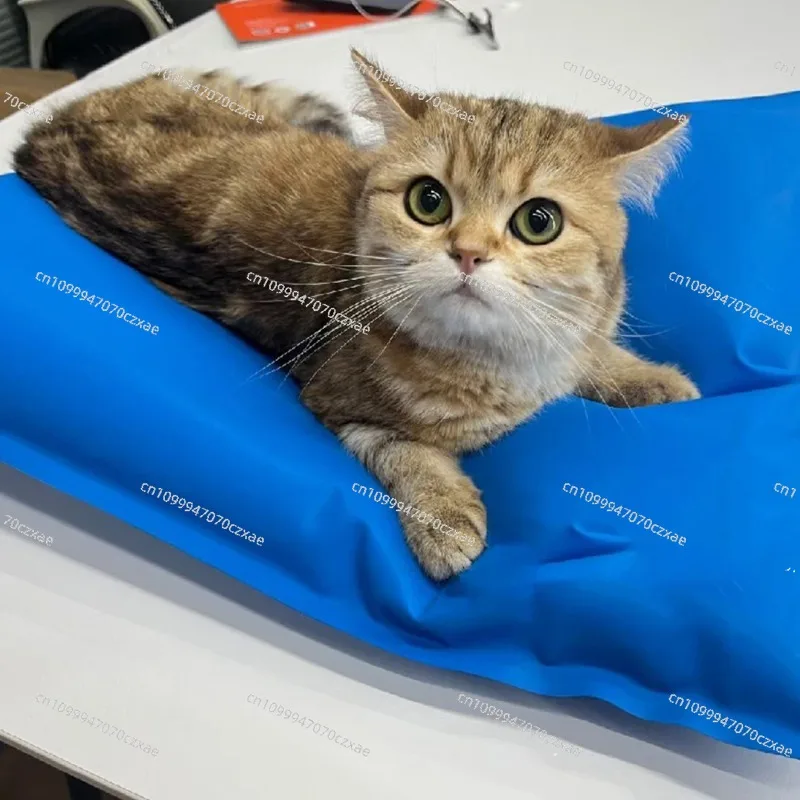 Animal Surgical Accessories Pet Vacuum Positioning Mat Small Veterinary Examination Pad Pet Care Room 100x60cm 60x40cm
