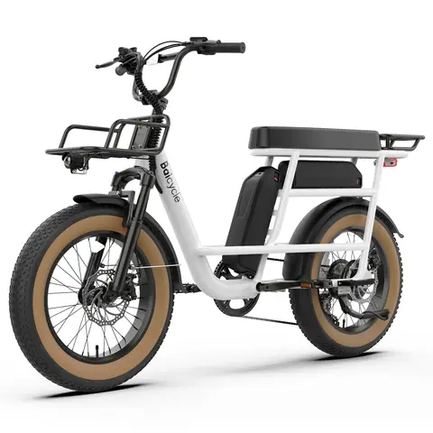 1800W Electric Bike 2 Dual battery 48V 13Ah Removable Battery 20''X4" Fat Tire Electric Bicycle 160Miles Long Range E Bike