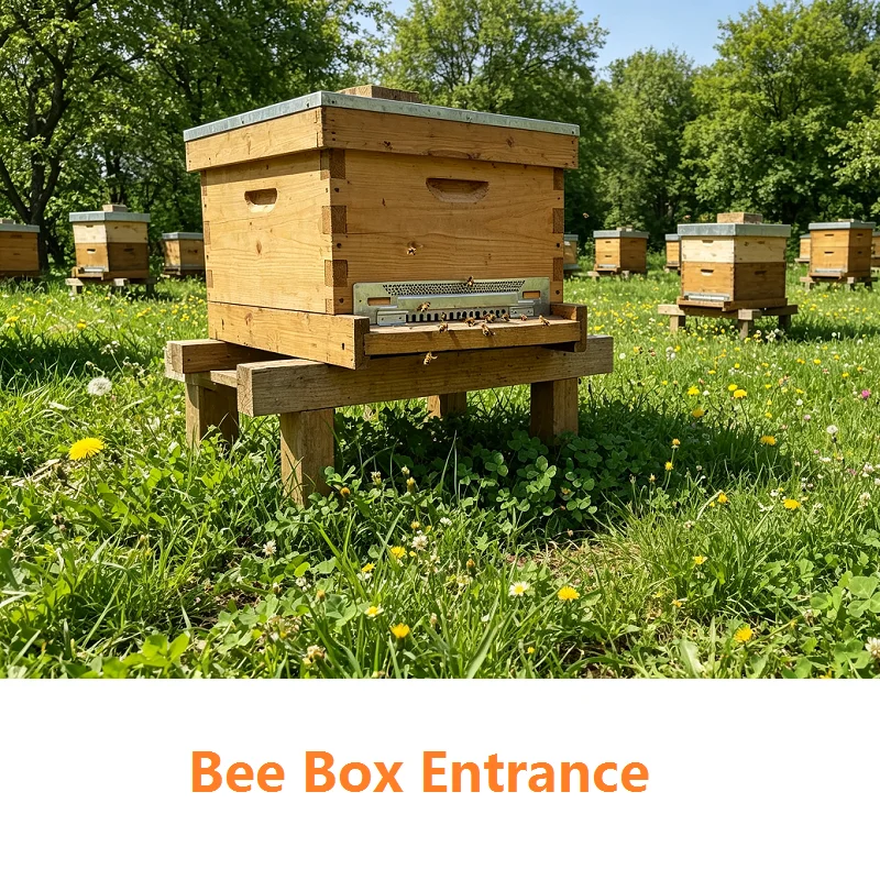 4Pcs Stainless Steel Beehive Door Beehive Box Door Anti-escape Hive Gate Sheet Nest Spacer Bee Box Entrance Beekeeping Tools