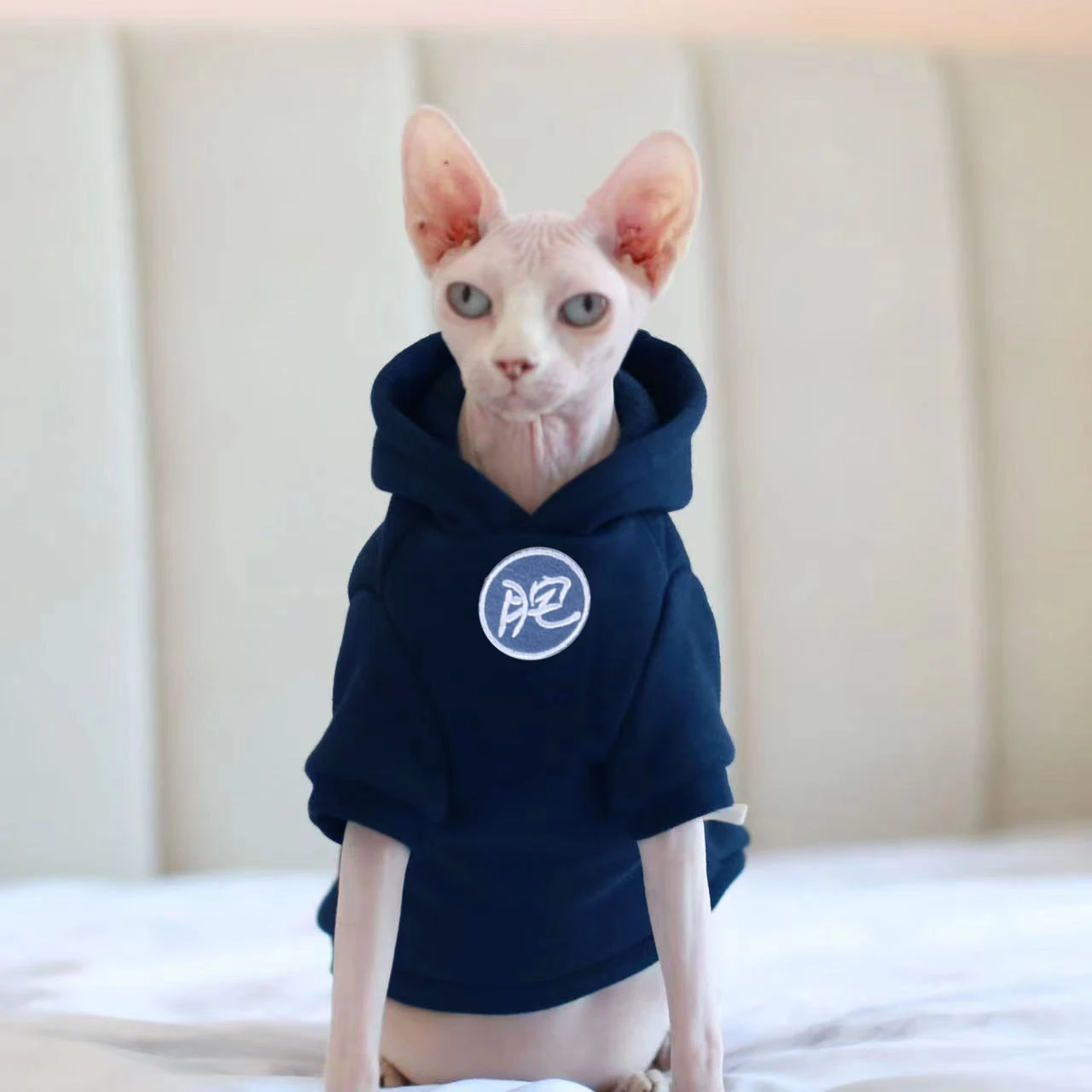 Pet Clothes for Sphynx Cat, Soft and Warm, Hooded, Sports Wind, Cotton, Hairless, Devon, Winter