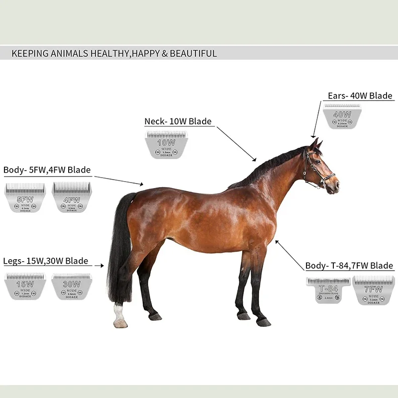 10 واط استبدال الحيوان شفرة واسعة ل Andis AG ، AGC ، AGP ، AGRC ، AGCL ، DBLC ، MBG ، SMC ، Versa/Oster A5/Wahl Km10 الحيوانات الأليفة انفصال المقص #4