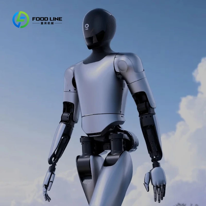 Robot Humanoide Personalizado con Dos Patas, Pantalla LCD, Resolución 1080p, CPU 2K, 4GB de RAM para Actuaciones Comerciales