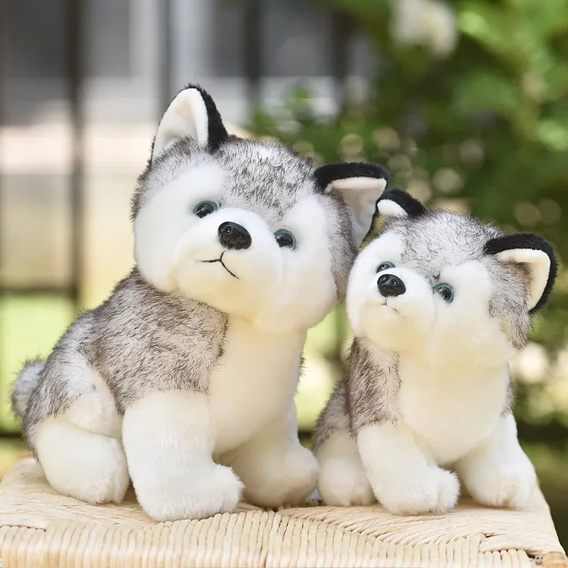 20/24/30cm Grey Husky Dog Doll Soft Plush Lifelike Stuffed Animal Toys Kawaii Cartoon Wolf Stuffed Doll Child Photography Props