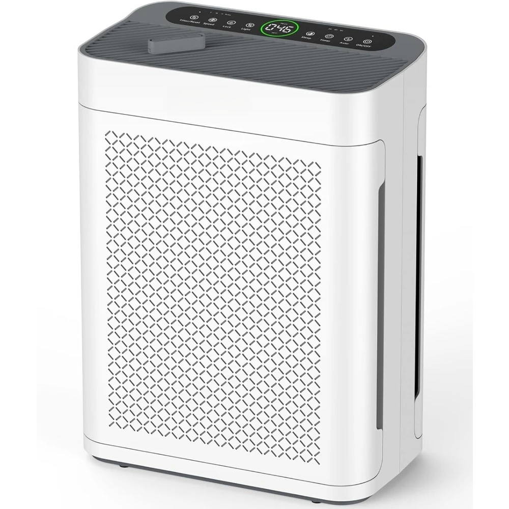 Large Room Air Puri…