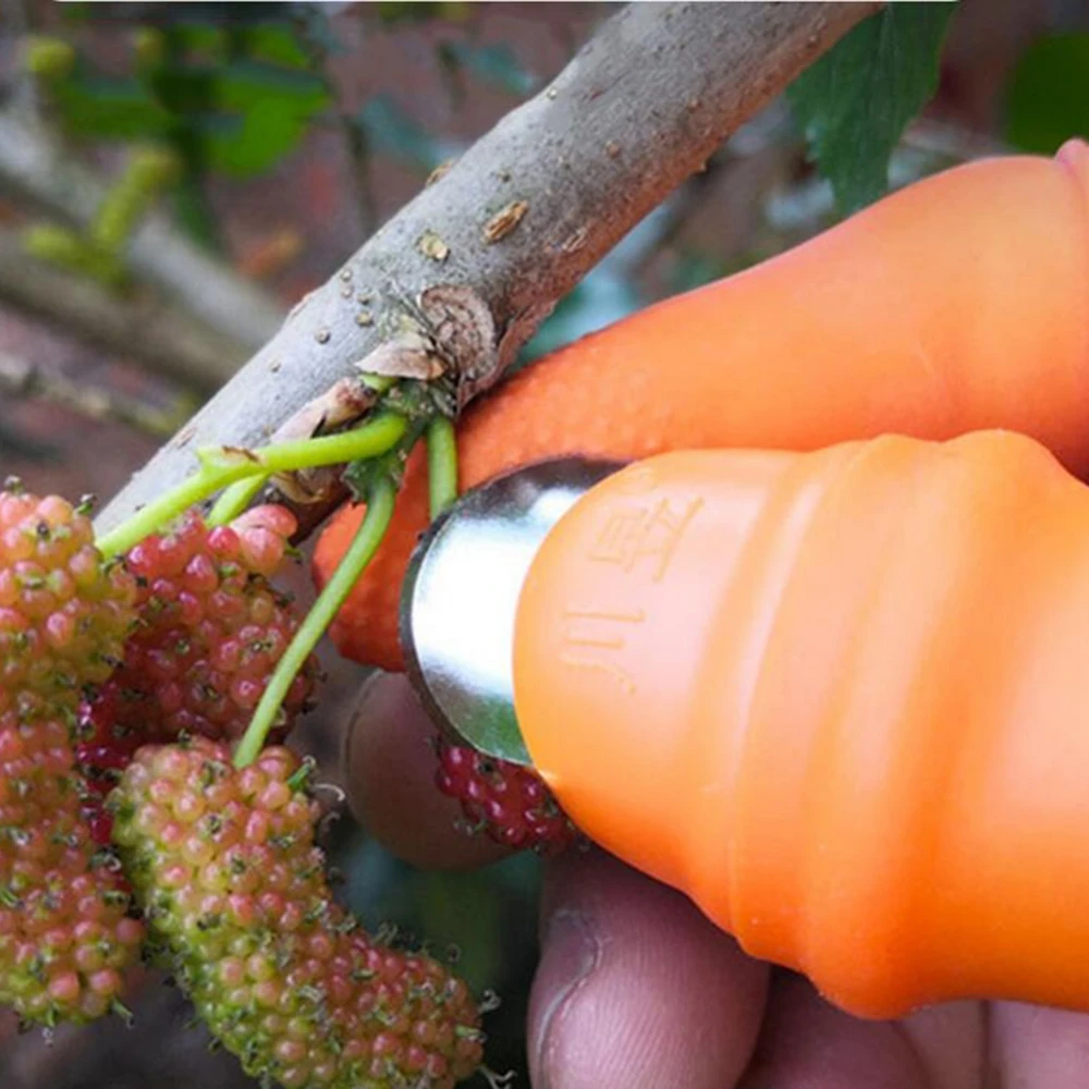 Garden Silicone Thumb Knife Wi - Harvest Knife Garden 评论和价格