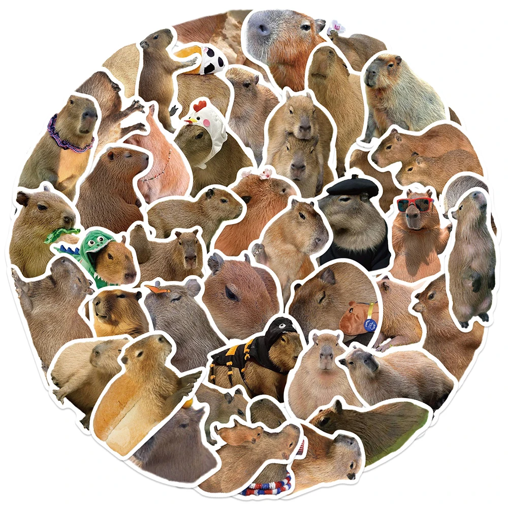 10/30/50PCS Cute Cartoon Capybara Graffiti Stickers Animal Decoration Decals Laptop Fridge Phone Scrapbooking Aesthetic Sticker