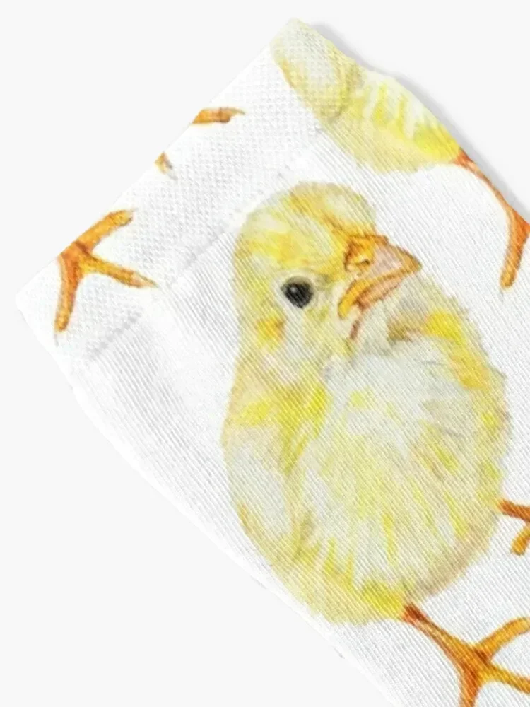 Yellow Baby Chick Socks anime sports and leisure golf bright garter Men's Socks Luxury Women's