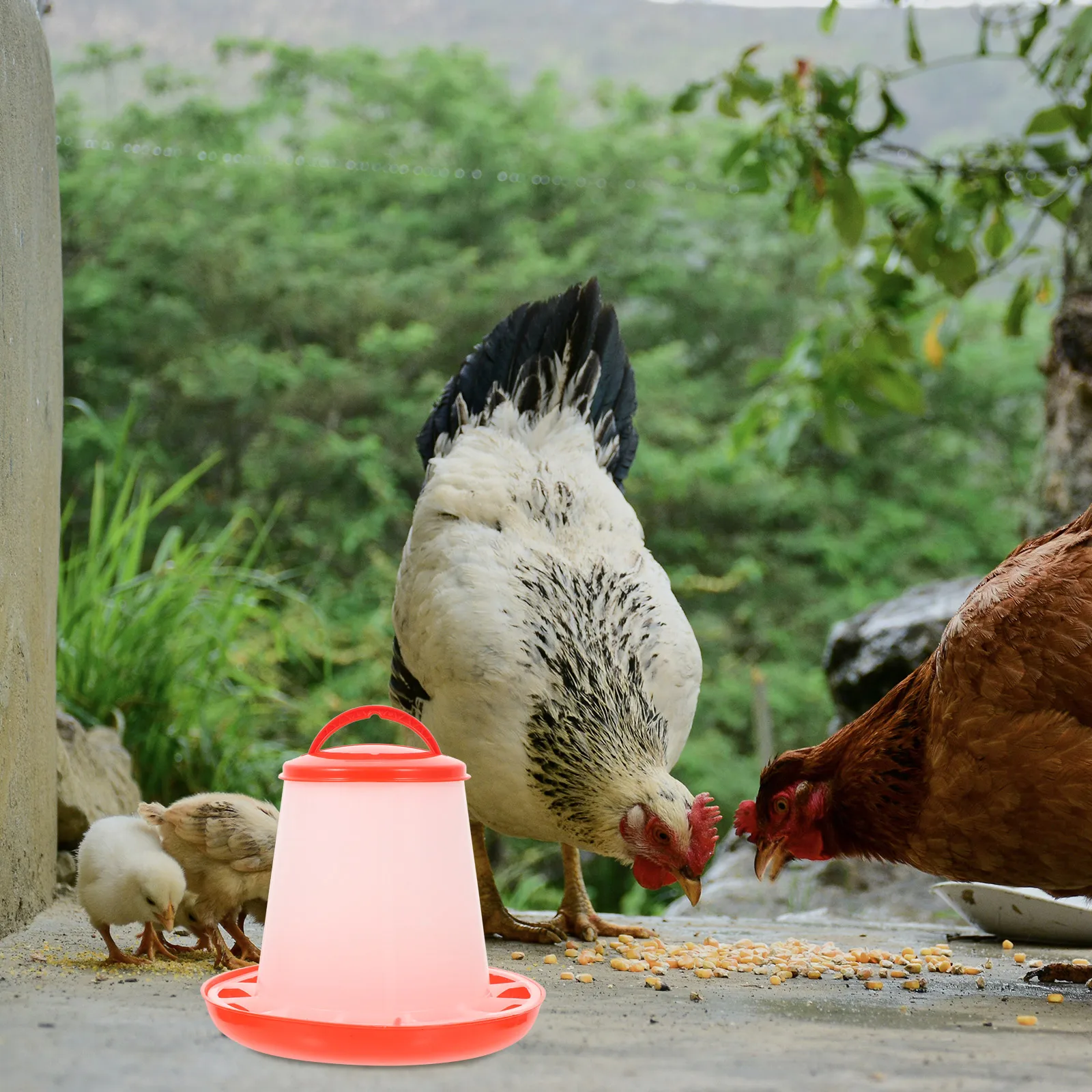 

Automatic Chicken Feeder Poultry Feeders Heated Waterer Chickens Food Dispenser Stable Easy Practical Multi Functional Dry Wet