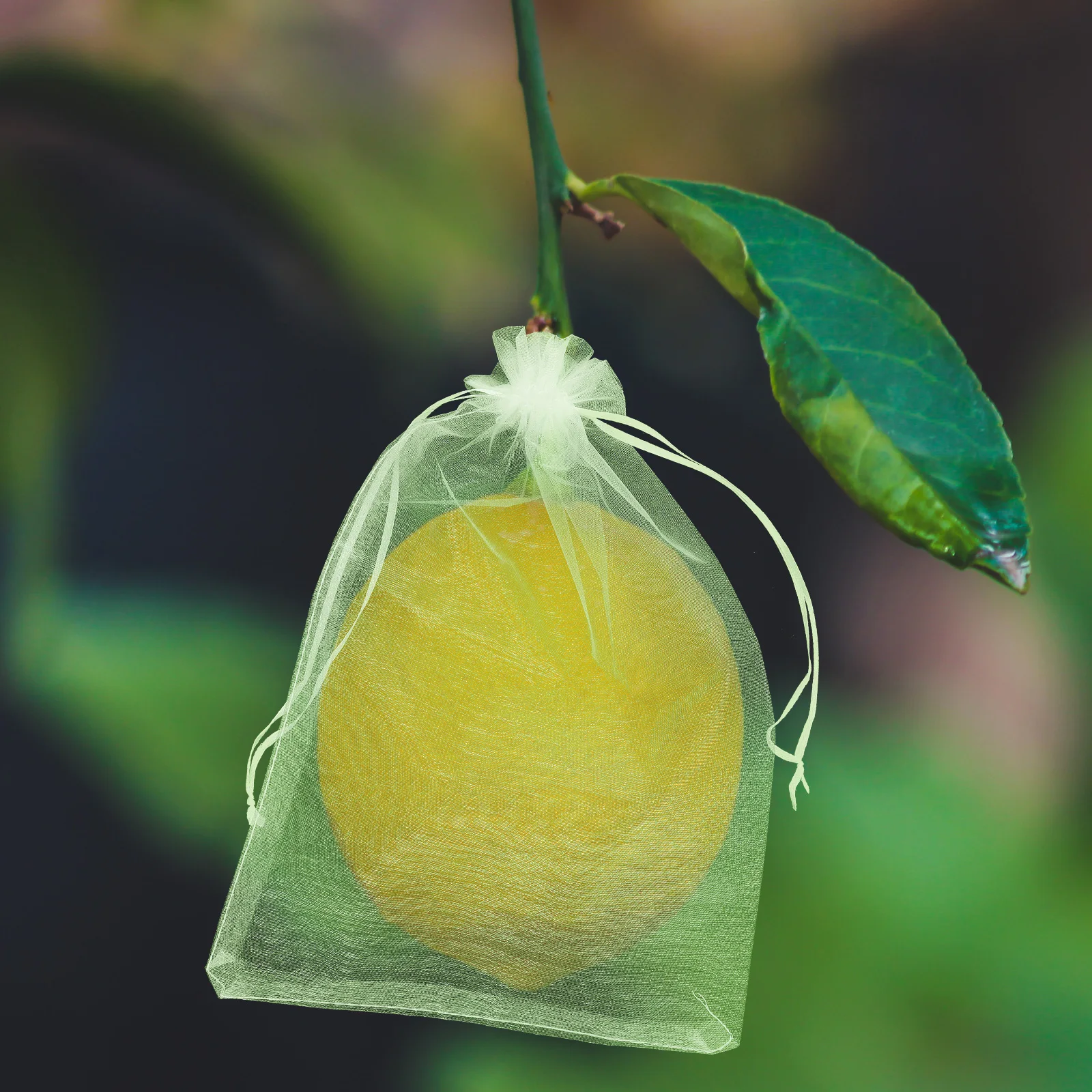 

100pcs Fruit Mesh Bag Strawberry Grape Vegetable Cover Anti Bird Insect Barrier Garden Plant Protector Drawstring Net