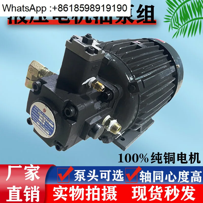 gruppo-motore-pompa-olio-plug-in-interno-075kw-vp20-15kw
