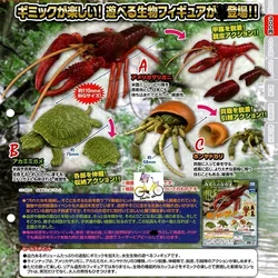 GACHA Ecological Atlas FIGURE Encyclopedia of Dangerous Organisms Lobster Tortoise Hermit Crab ACTION Figure Model Toys