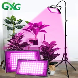 Lampe horticole de croissance LED 220V, étanche, 50/100/200W, avec support, éclairage pour serre/chambre de culture