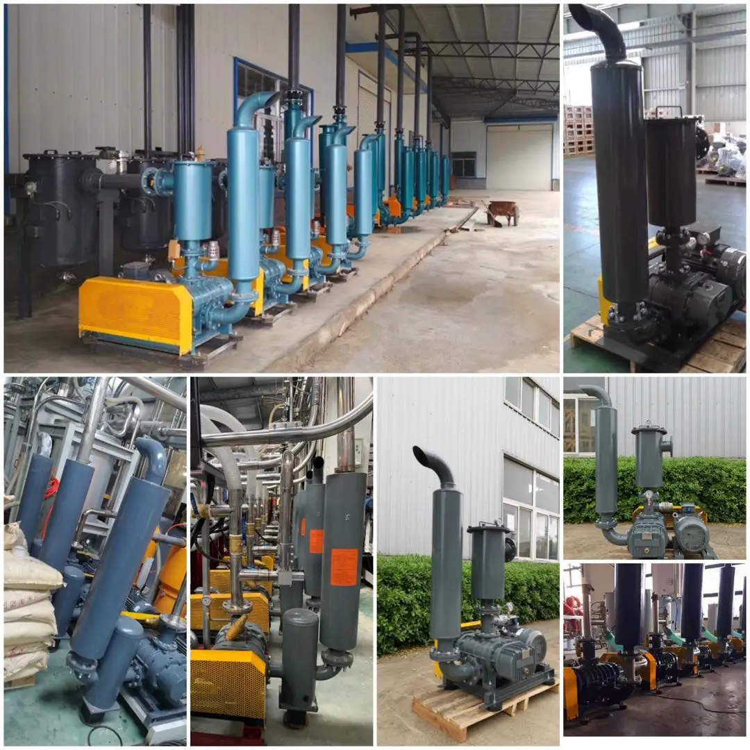 Title Roots Type Blower for Vacuum Dewatering Industrial Filtration and Wastewater Equipment