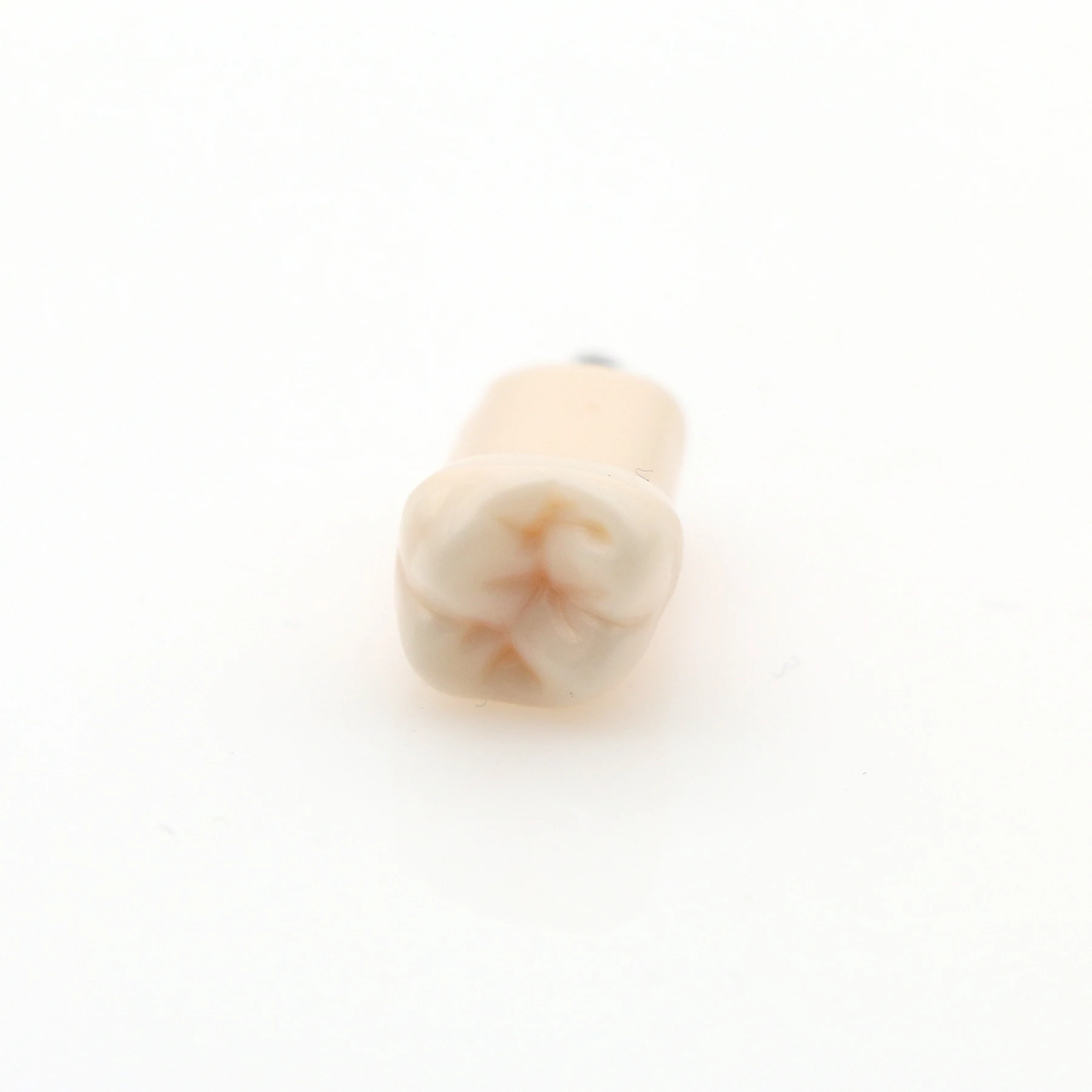

10pcs UL6 26# Typodont Tooth Preparation Practice Model For Kilgore Nissin 200 32 Pcs Teeth M8025-26