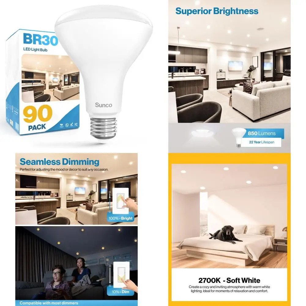 Led BR30 Recessed C…