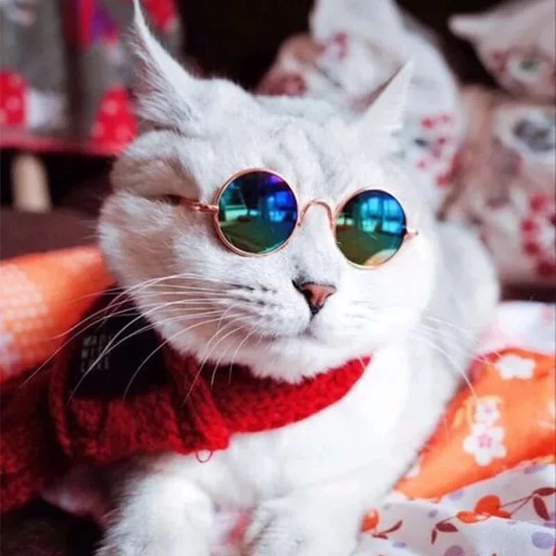Rutschfeste Sonnenbrille für Katzen & Kleine Hunde Haustier-Zubehör Welpen-Kätzchen-Cosplay-Kostüm Niedliche Tier-Brillen Foto-Requisiten – Detail 5