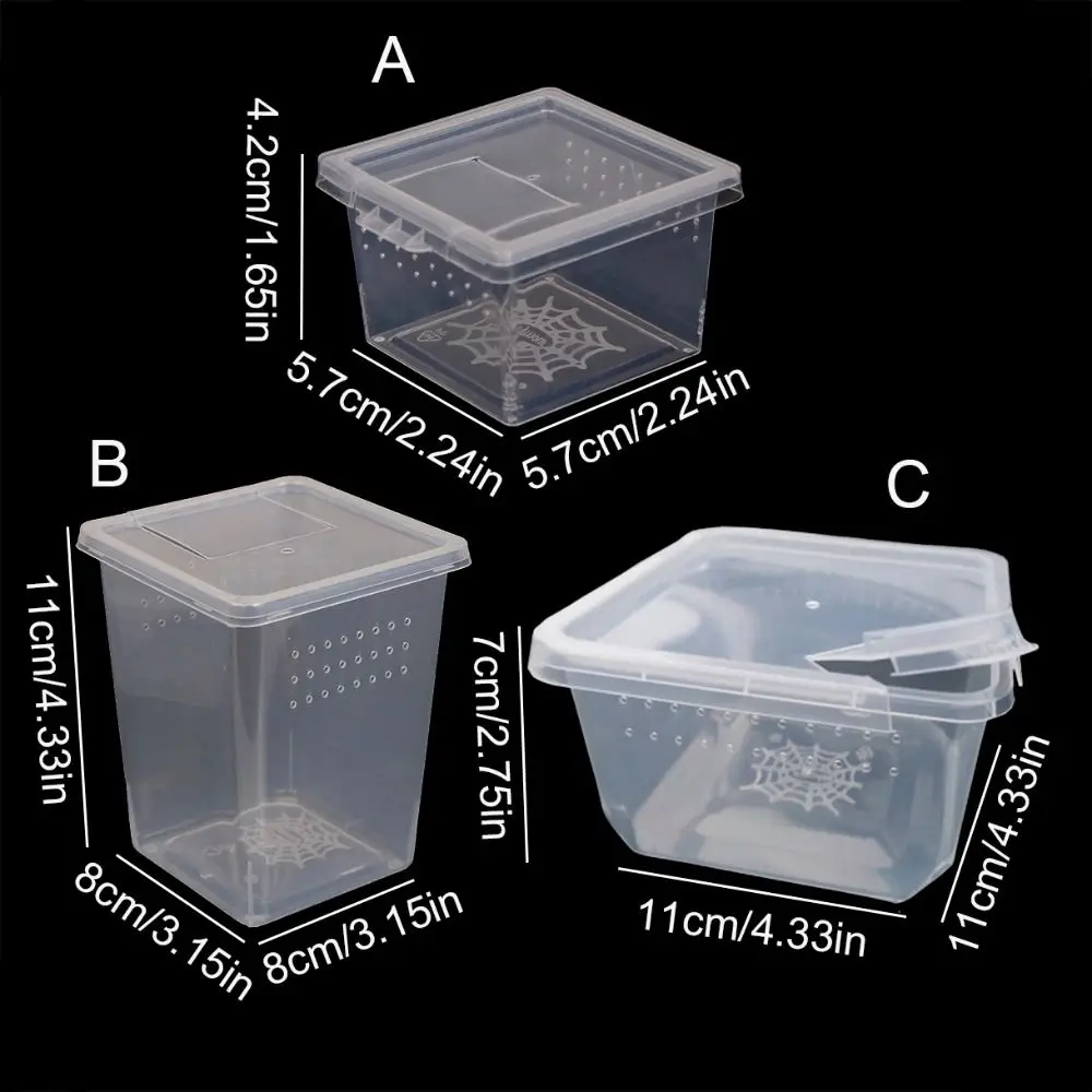 1Pc Plastic Reptiles Living Box Transparent Reptile Terrarium Habitat for Scorpion Spider Ants Lizard Breeding Feeding Case