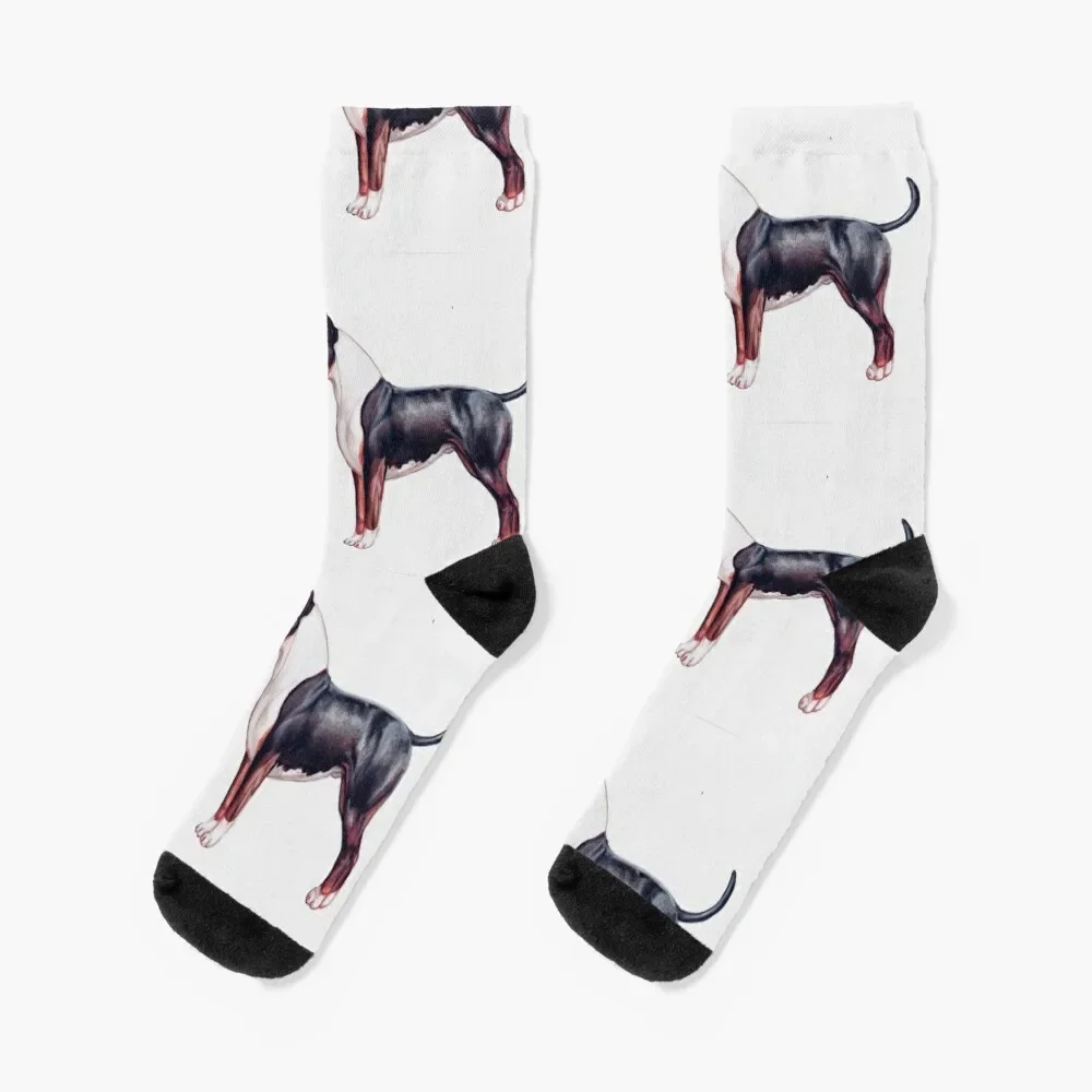 

Black and Tan Bull Terrier Socks with print Hiking boots japanese fashion Toe sports Socks Women Men's