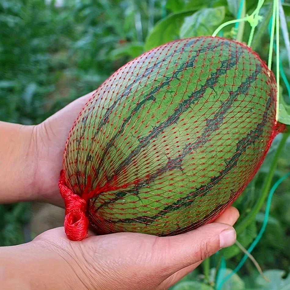 100pcs, Watermelon Nets, Hanging Reusable Watermelon Nets Bags Melon Hammocks Cradles For Supporting Garden Growing Cantaloupes