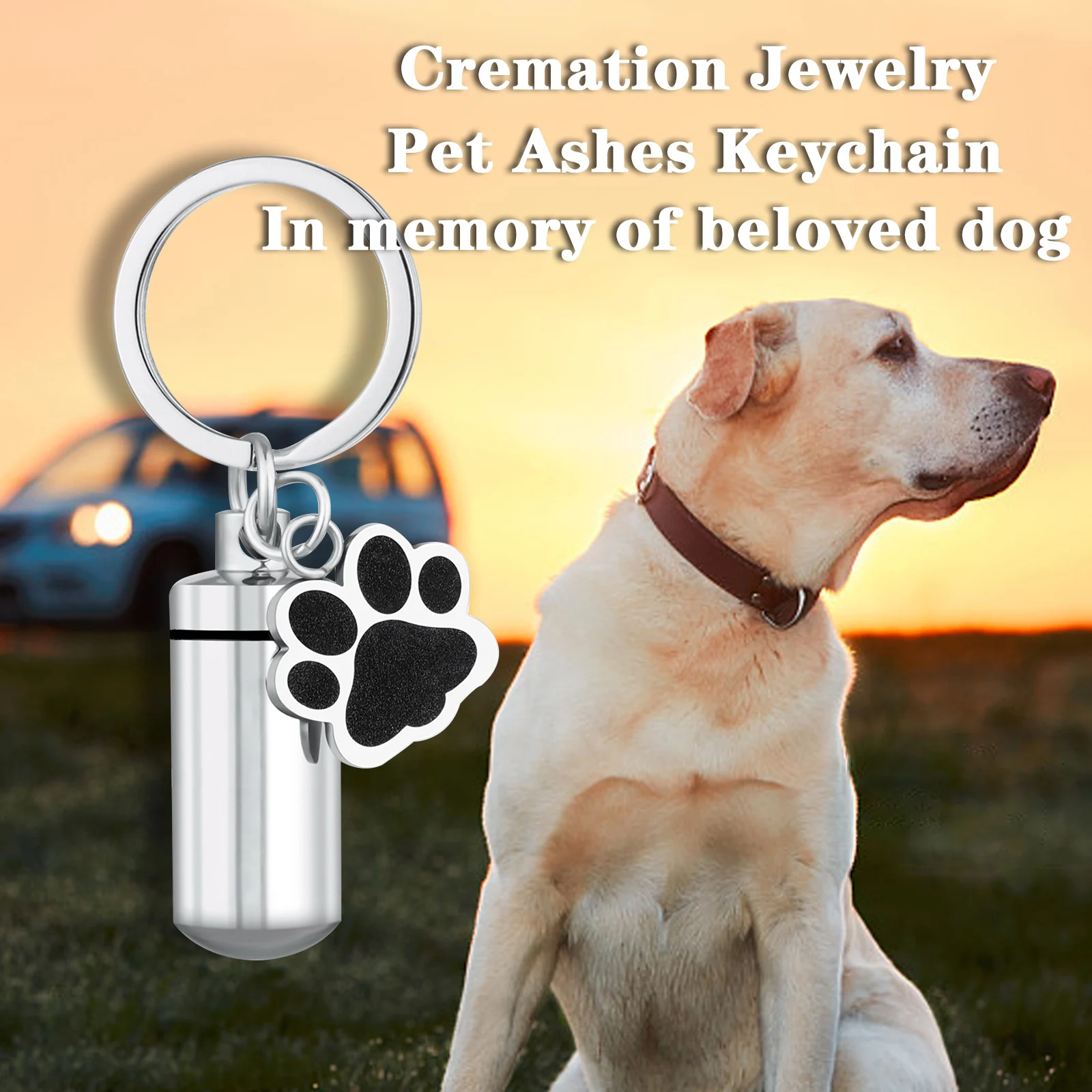 Pet Keychain Cylinder Key chain with Dog Paw Print Memorial Urn Necklace for Ashes Stainless Steel Cremation Jewelry