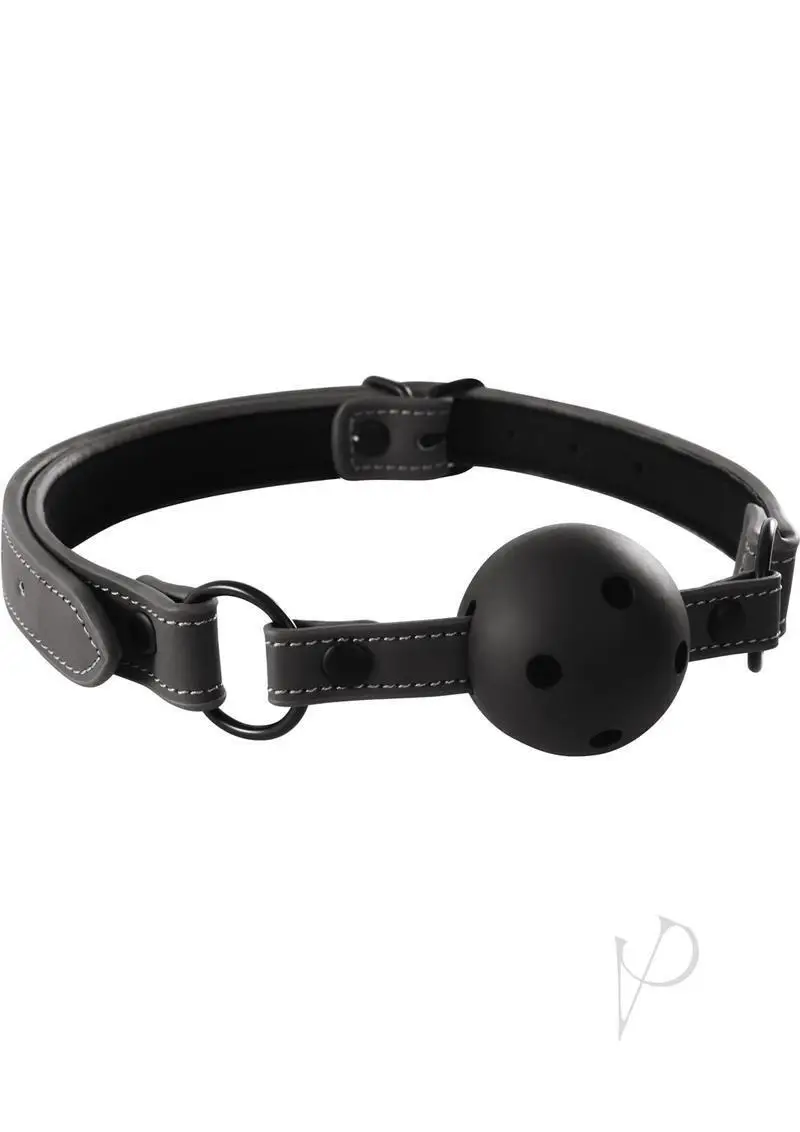 

BDSM Bondage Ball Gag Mouth Restraint Oral Sex Fetish Gear Sex Toy for Couples