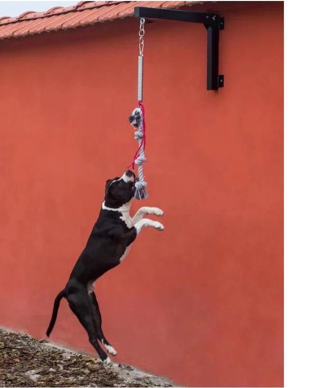 Springpole Spring/Tug-spring in Dog Toys for Dog Training