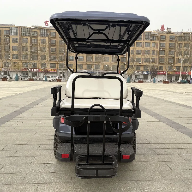 Dylante New Design High Quality 4 Persons Off-Road Golf Cart 4000W Solar Electric Sightseeing Vehicle Selling Worldwide