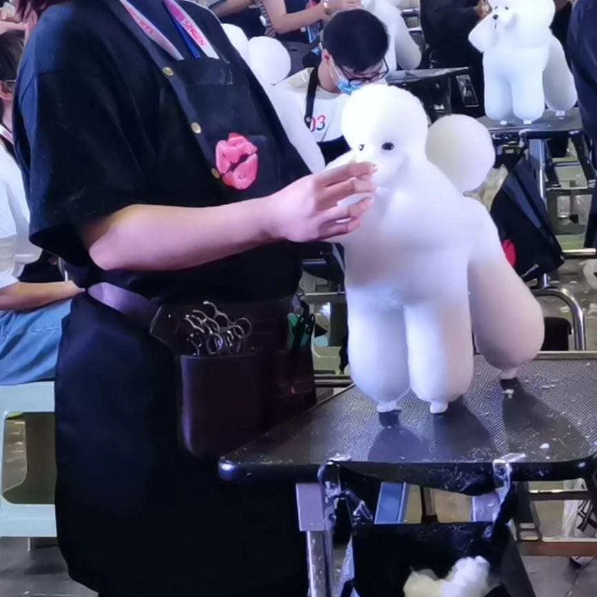 

Full Body Plastic Dog Poodle Mannequin for Pet School Display and Grooming Practice Educational Dog Model Toy