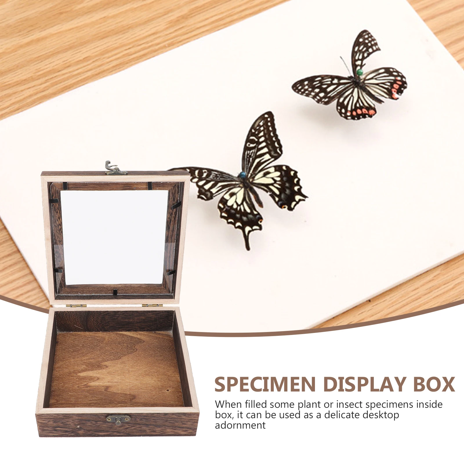 

Butterfly Specimen Box Transparent Lid Wooden Display Case For Insect Jewelry Specimen Holder Retro Sample Box Vintage