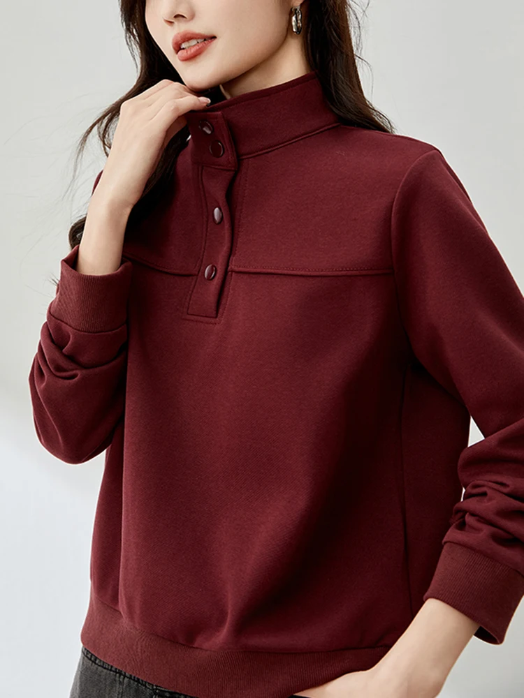 Korean Turtleneck Sweatshirts Long Sleeve Women Pullovers 2025 New Autumn Winter Loose Casual Jumper Korean Fashion Sweatshirts