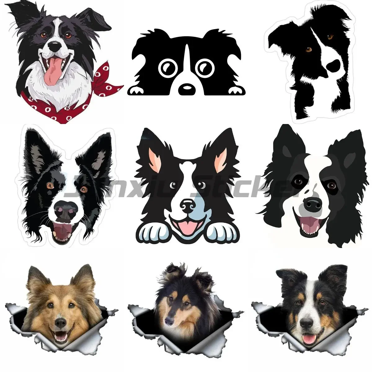 

Border Collie Bumper Sticker Motorcycle Stickers Bike Sticker Laptop Stickers Moto Sticker Smiling Border Collie Vinyl Decal