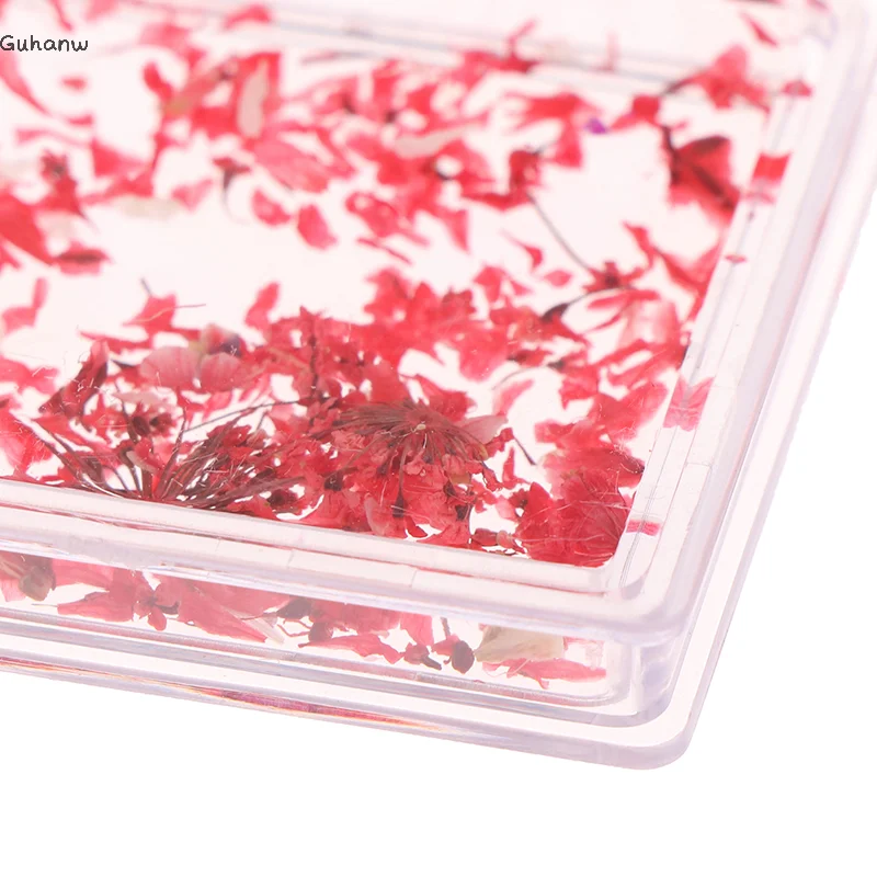 

1Box Nail Art Flower Decoration Delicate 3D Dried Flower Nail Charms Art Stickers Nail Art Beauty For Charms Accessories