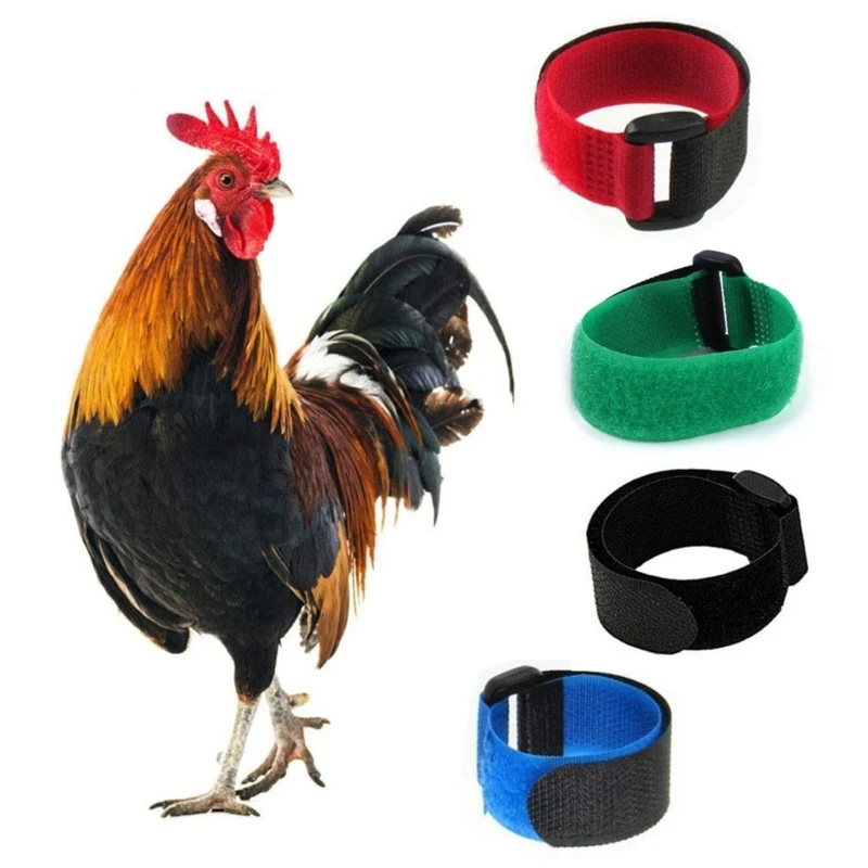 2PCS Durable Rooster Neck Collar Reusable Simple Operation Multiple Colors Poultry Anti-Crowing Device for Cockerels
