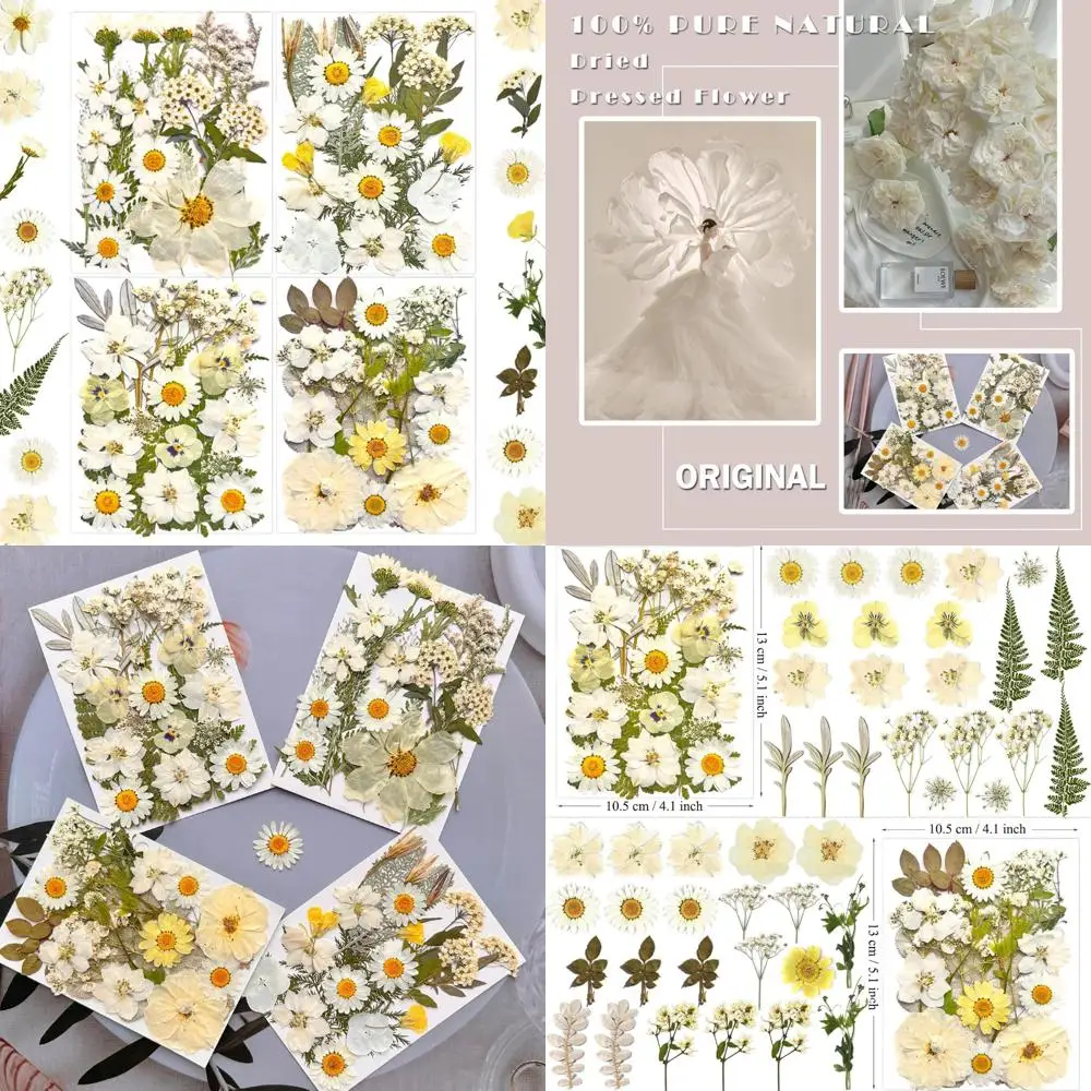 ดอกไม้แห้งสีขาว 90 ชิ้นสำหรับแม่พิมพ์เรซิน, ใบไม้แห้งธรรมชาติแท้สำหรับงานฝีมือ DIY, เครื่องประดับอีพ็อกซี่, เทียน
