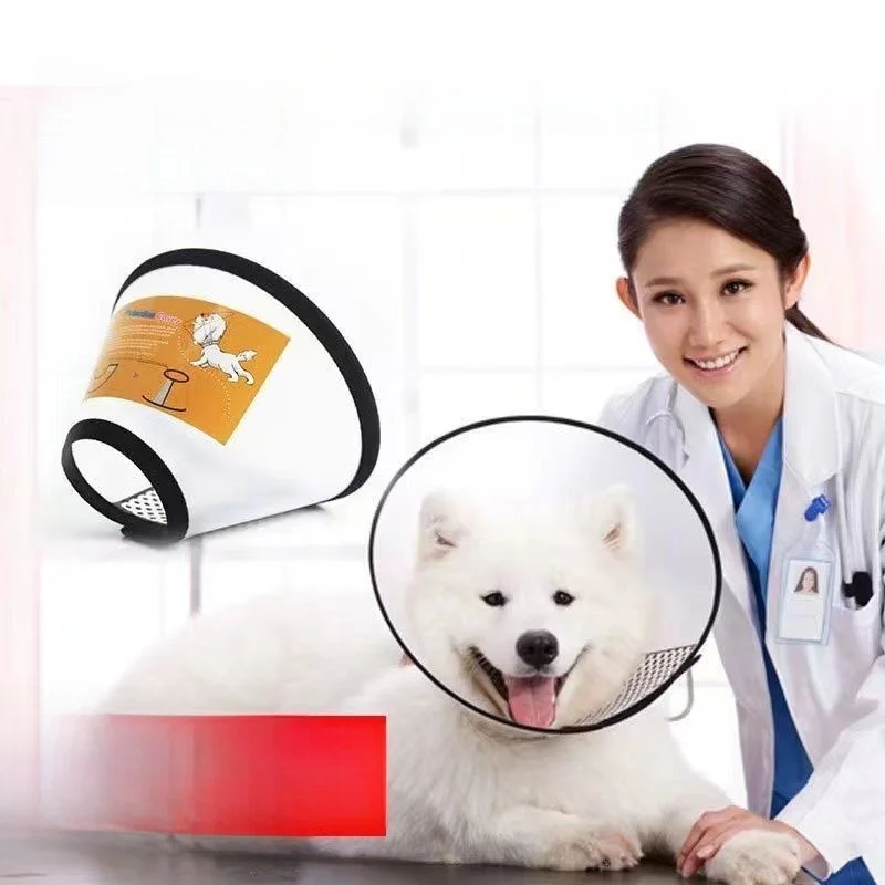 Elizabethan Circle …