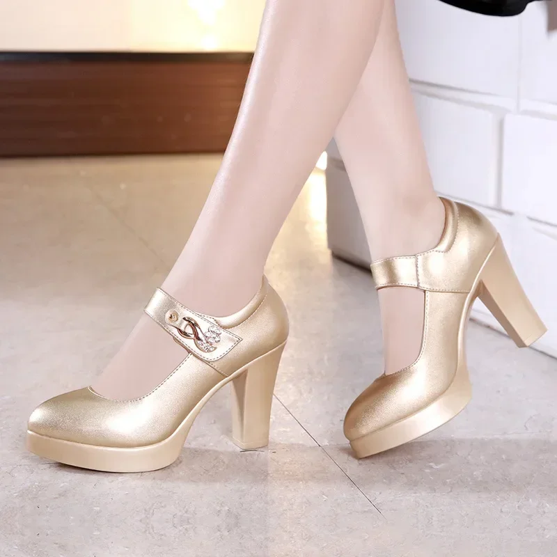Women High Heels Block Heels Gold Silver Wedding Shoes Women Pumps 2025 Rhinestone 10cm Party Dress Shoe Plus Size 44