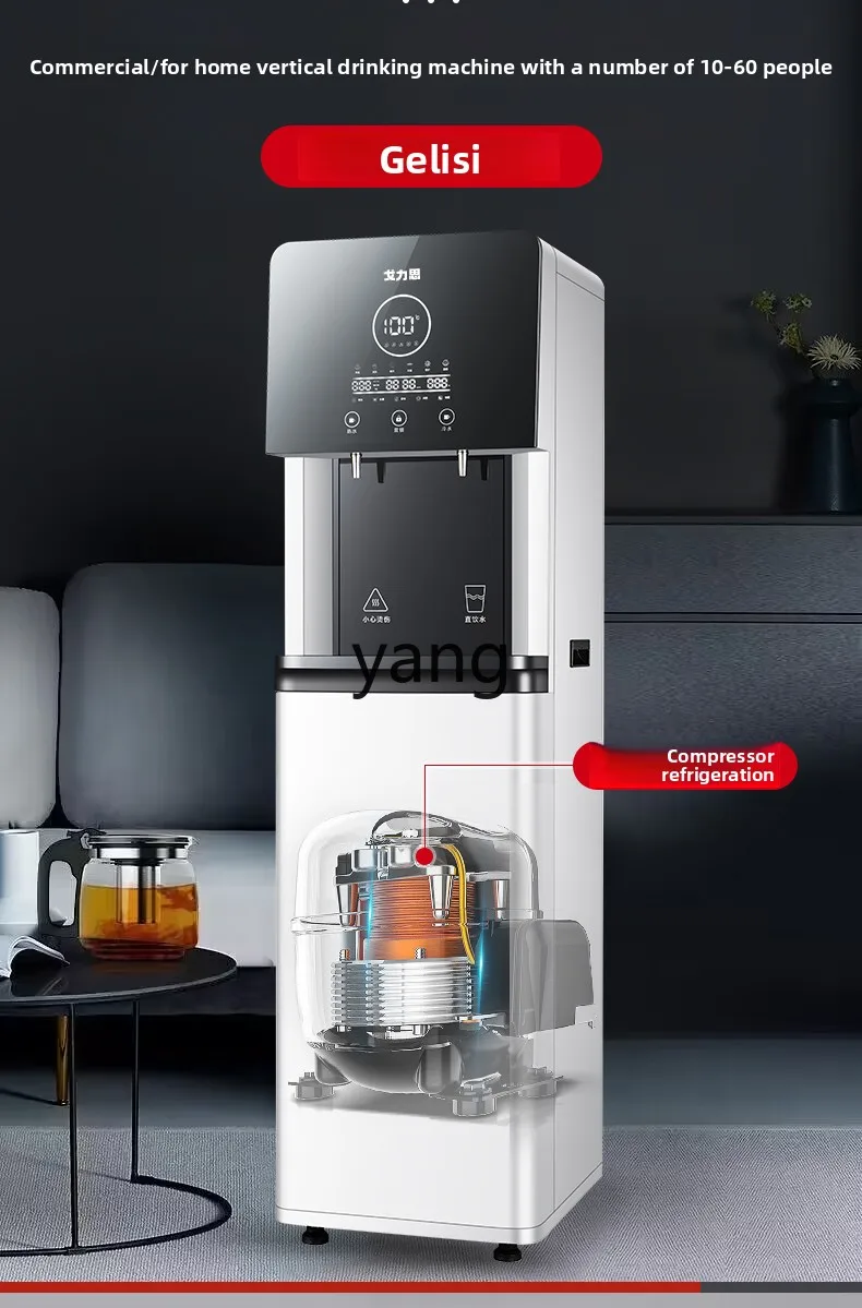 LH Household Vertical Drinking Machine Commercial Large Capacity Ice Warm Water Dispenser