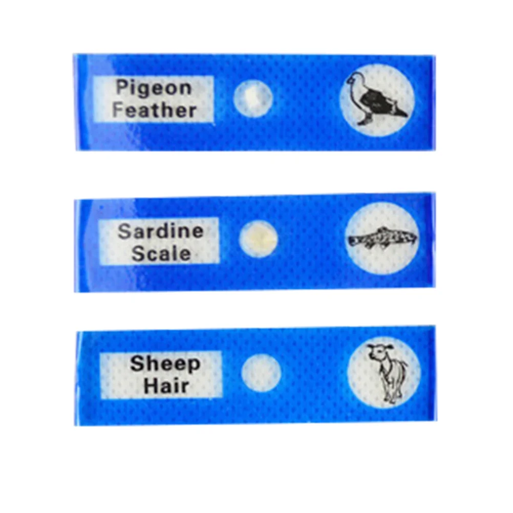 12 個のプラスチック製生物標本スライド子供用教育科学キットアソートカラー小学校中学校