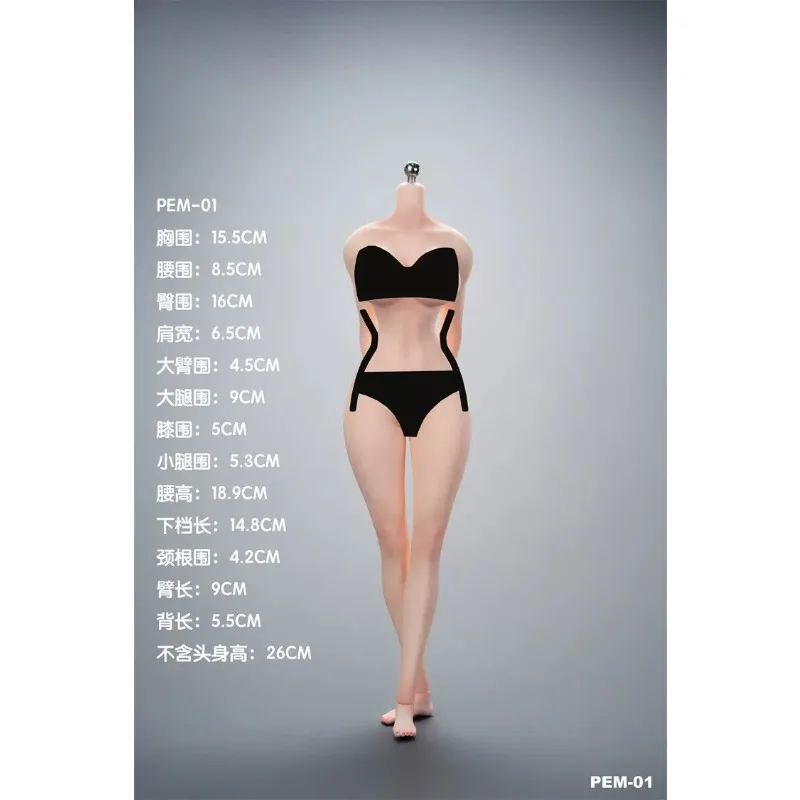 Pre-sale PERSON-MODEL 1/6 Scale Female Soldier Plump Silicone Seamless Body 26cm Action Figure Body PEM-01 PEM-02